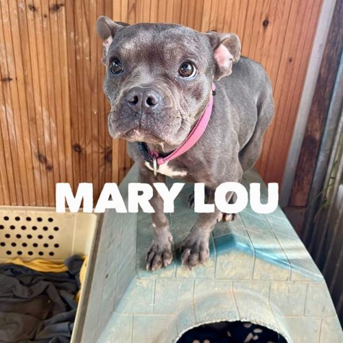 Mary Lou